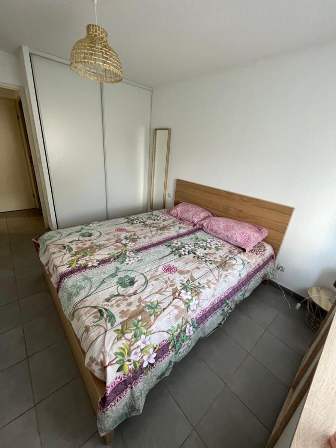 Joli Appt 45 M2 Avec Terrasse Apartment Lunel  Luaran gambar