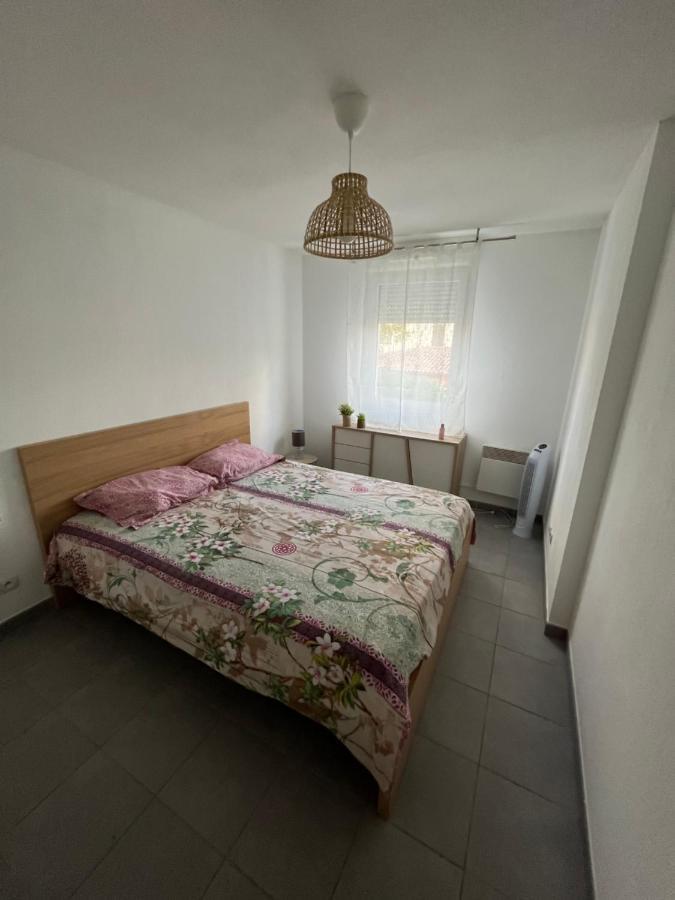 Joli Appt 45 M2 Avec Terrasse Apartment Lunel  Luaran gambar